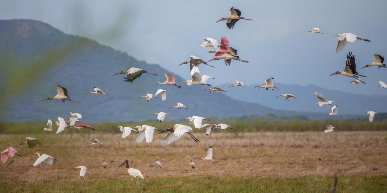 Rancho Humo Estancia Puerto Humo  Экстерьер фото