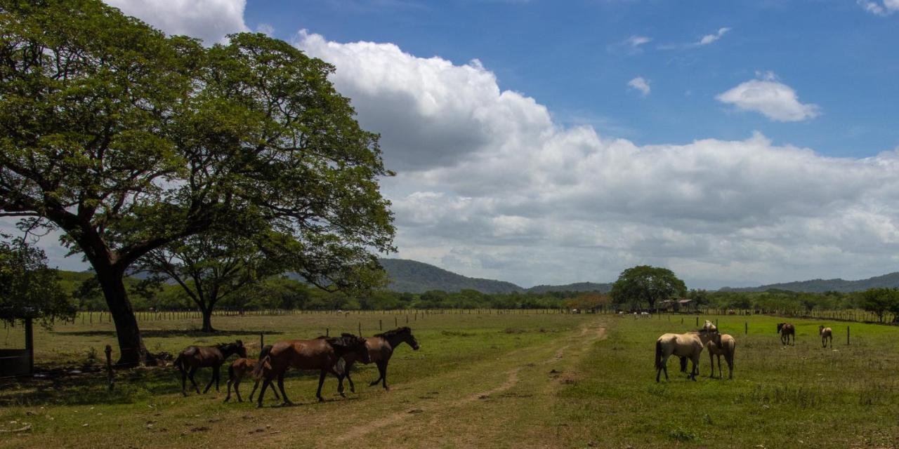 Rancho Humo Estancia Puerto Humo  Экстерьер фото