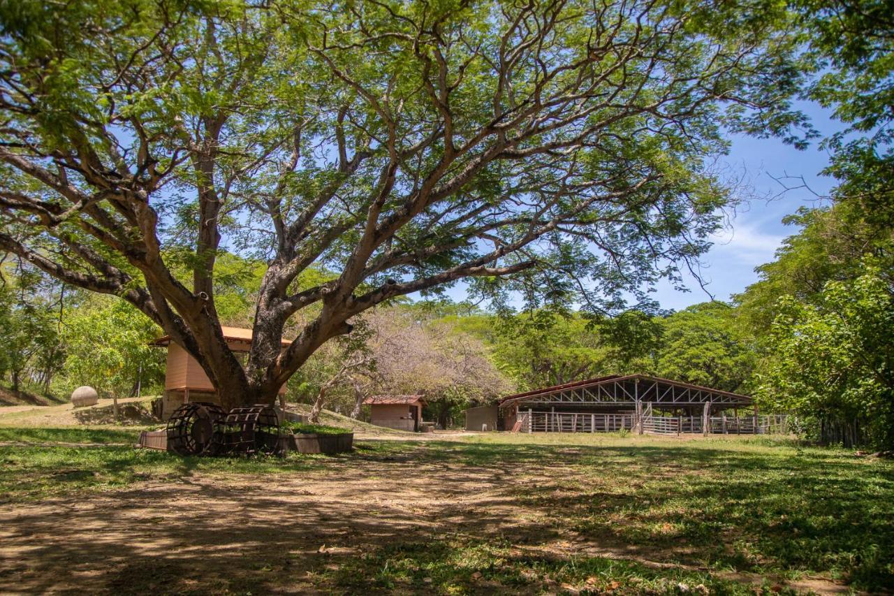 Rancho Humo Estancia Puerto Humo  Экстерьер фото